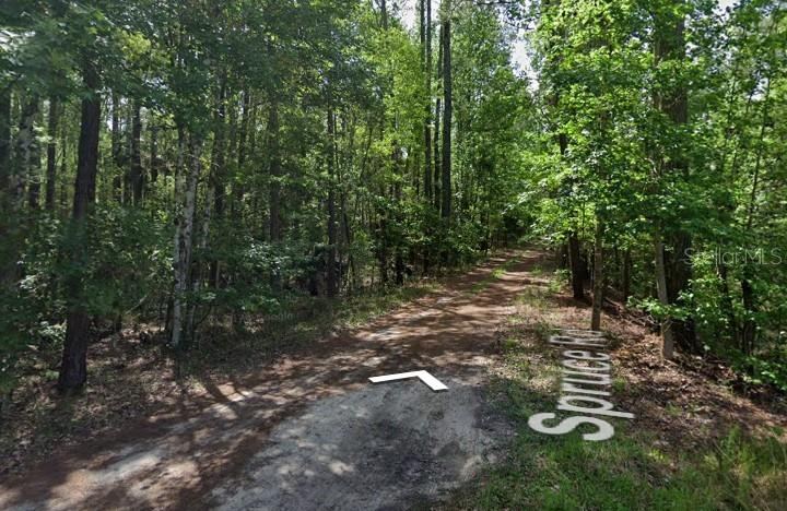 Photo 4 of Spruce Road, Interlachen, FL 32148