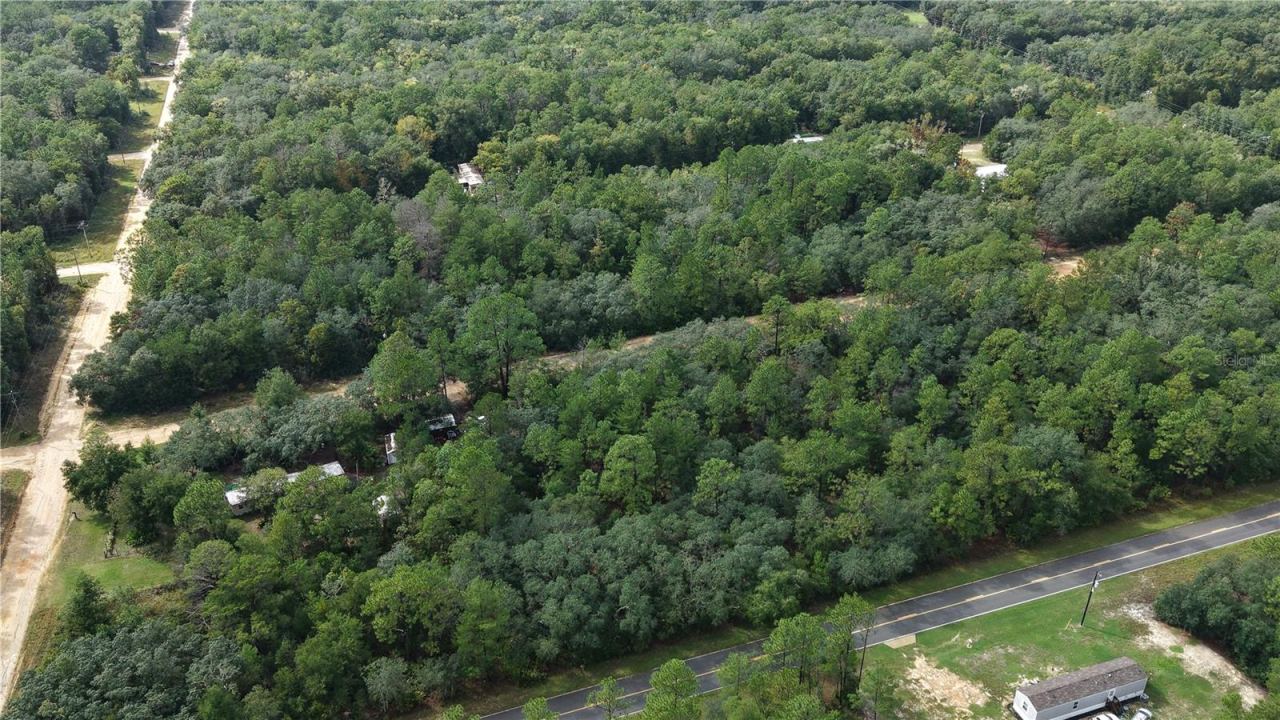 Photo 5 of 604 Del Monaco Ave, Interlachen, FL 32148