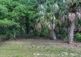 Photo 2 of 31 Deerwood St, Palm Coast, FL 32137