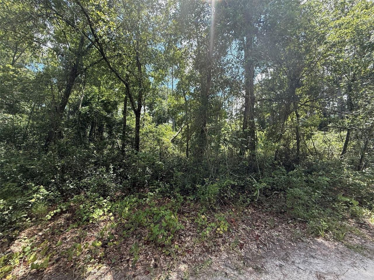 Photo 4 of 313 Calhoun Ave, Florahome, FL 32140