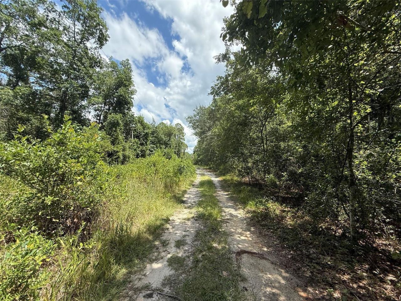 Photo 5 of 313 Calhoun Ave, Florahome, FL 32140