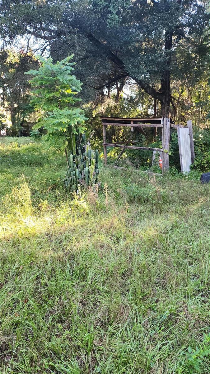 Photo 4 of 3517 N Us Highway 17, Deland, FL 32720