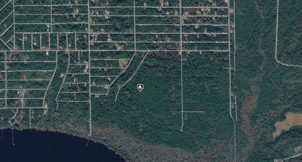 Photo 3 of 302 Siesta Dr, Georgetown, FL 32139