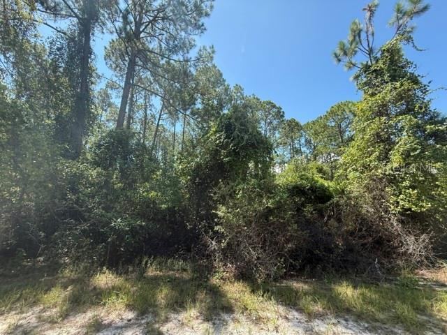 Photo 4 of 337 Palm Way, Georgetown, FL 32139