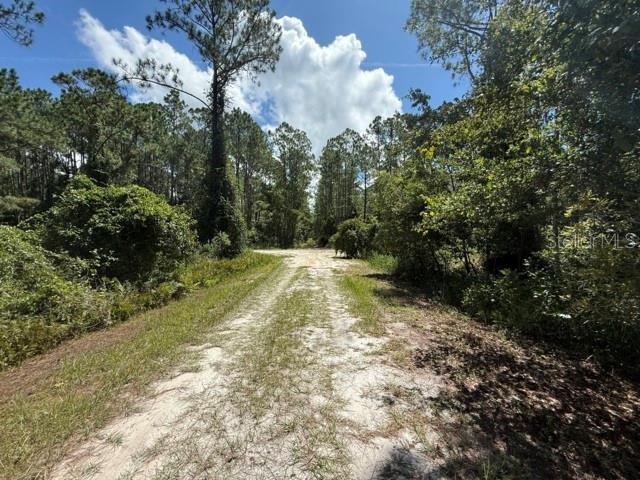 Photo 5 of 337 Palm Way, Georgetown, FL 32139