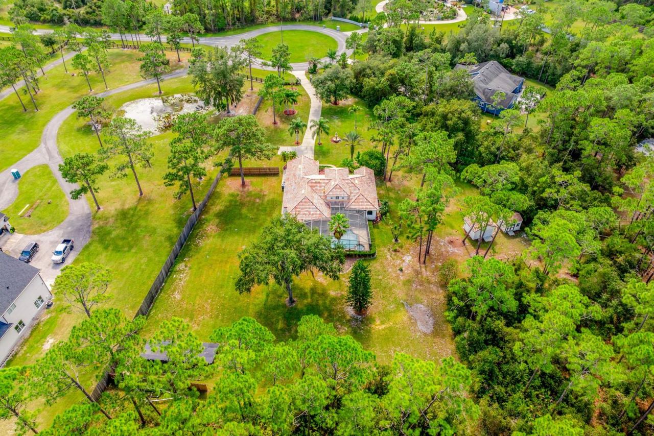 Photo 3 of 14513 Scotch Pine Ct, Orlando, FL 32832