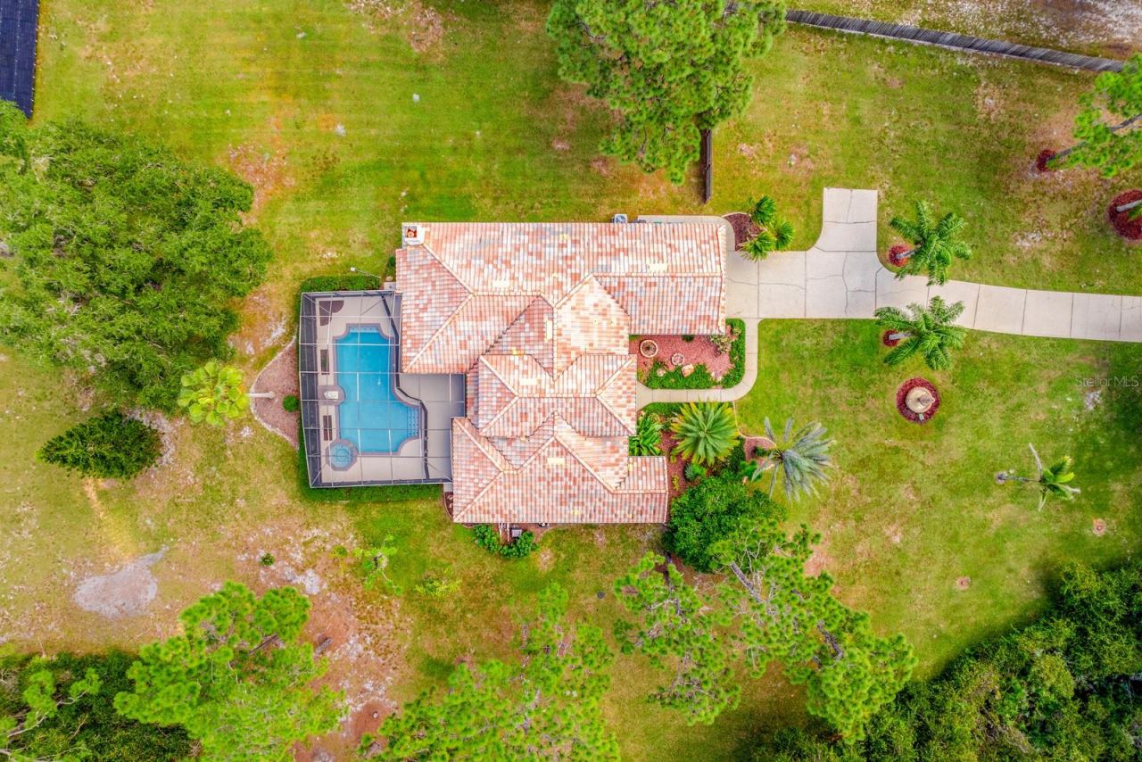 Photo 4 of 14513 Scotch Pine Ct, Orlando, FL 32832