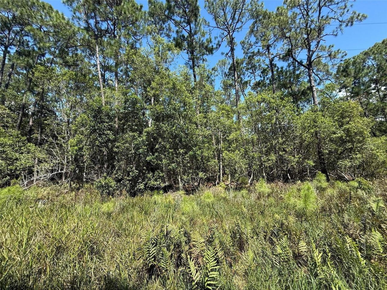 Photo 4 of 210 Se 2nd St, Georgetown, FL 32139