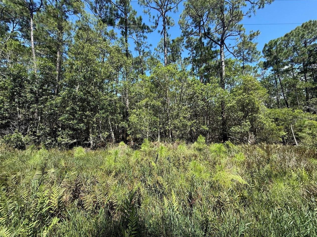 Photo 5 of 210 Se 2nd St, Georgetown, FL 32139