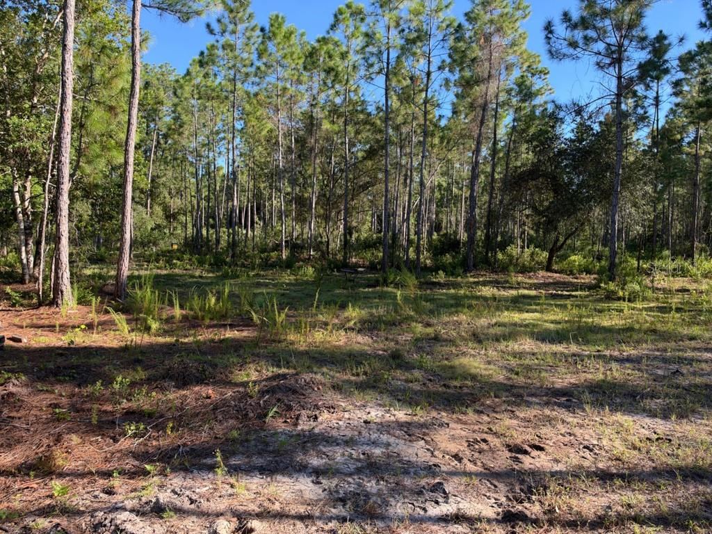 Photo 5 of 8961 Freedom Rd, Mims, FL 32754