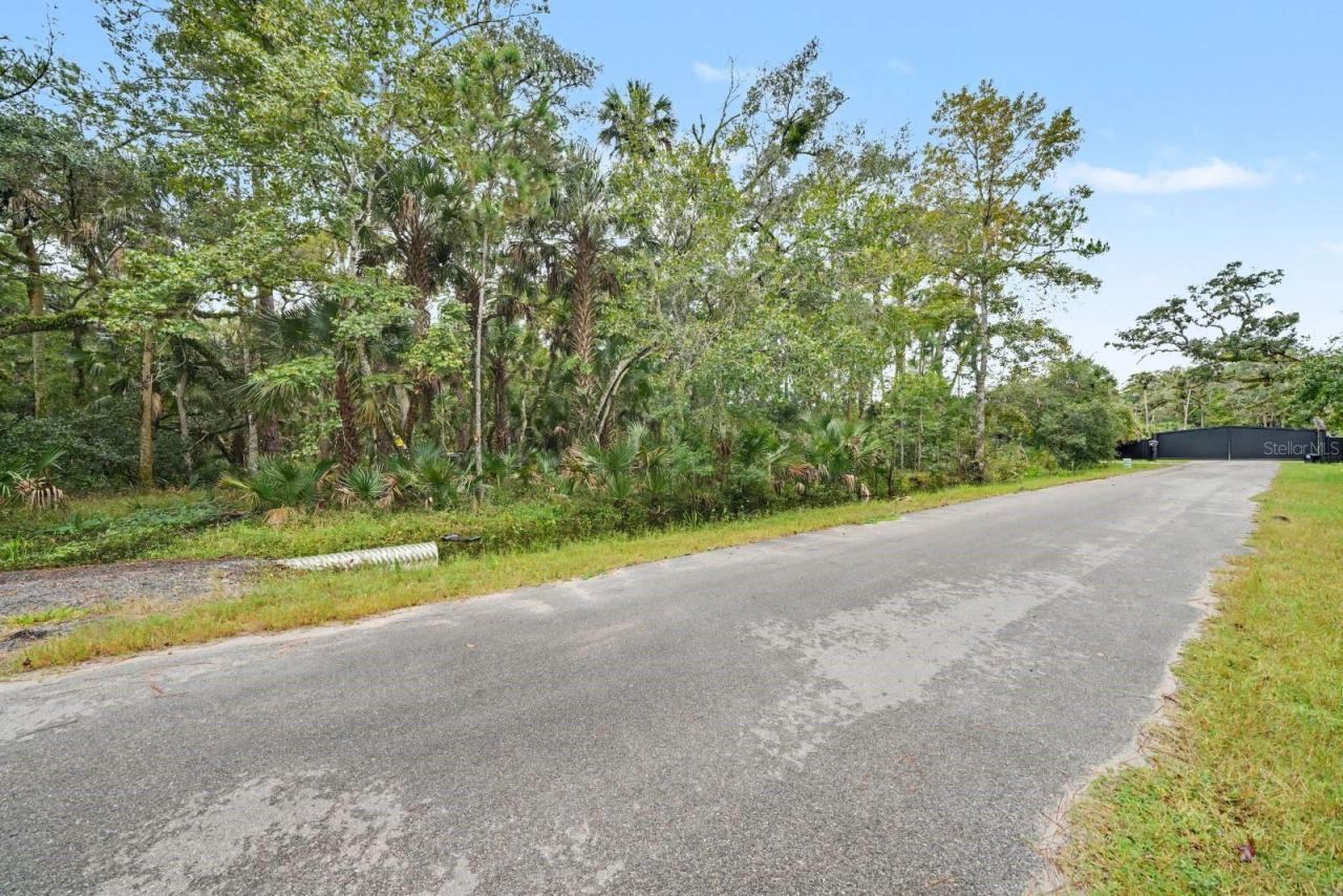 Photo 4 of 1215 Tall Pines Dr, Osteen, FL 32764