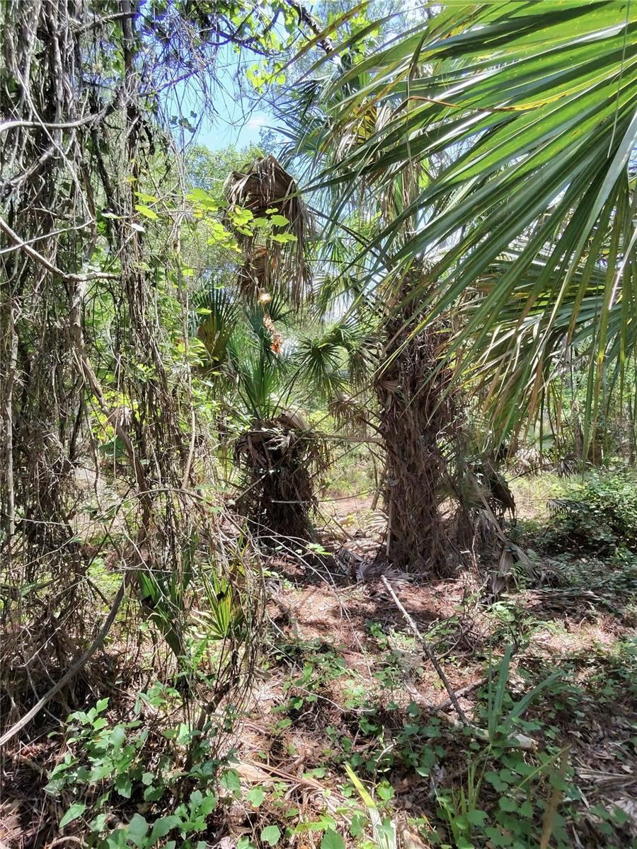 Photo 5 of 112 Chipola Dr, Georgetown, FL 32139