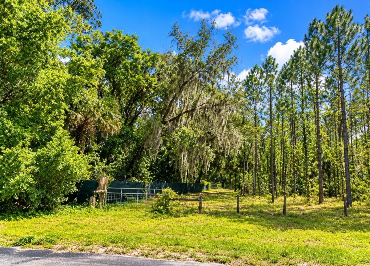 Photo 2 of 000 Cr 309, Satsuma, FL 32189
