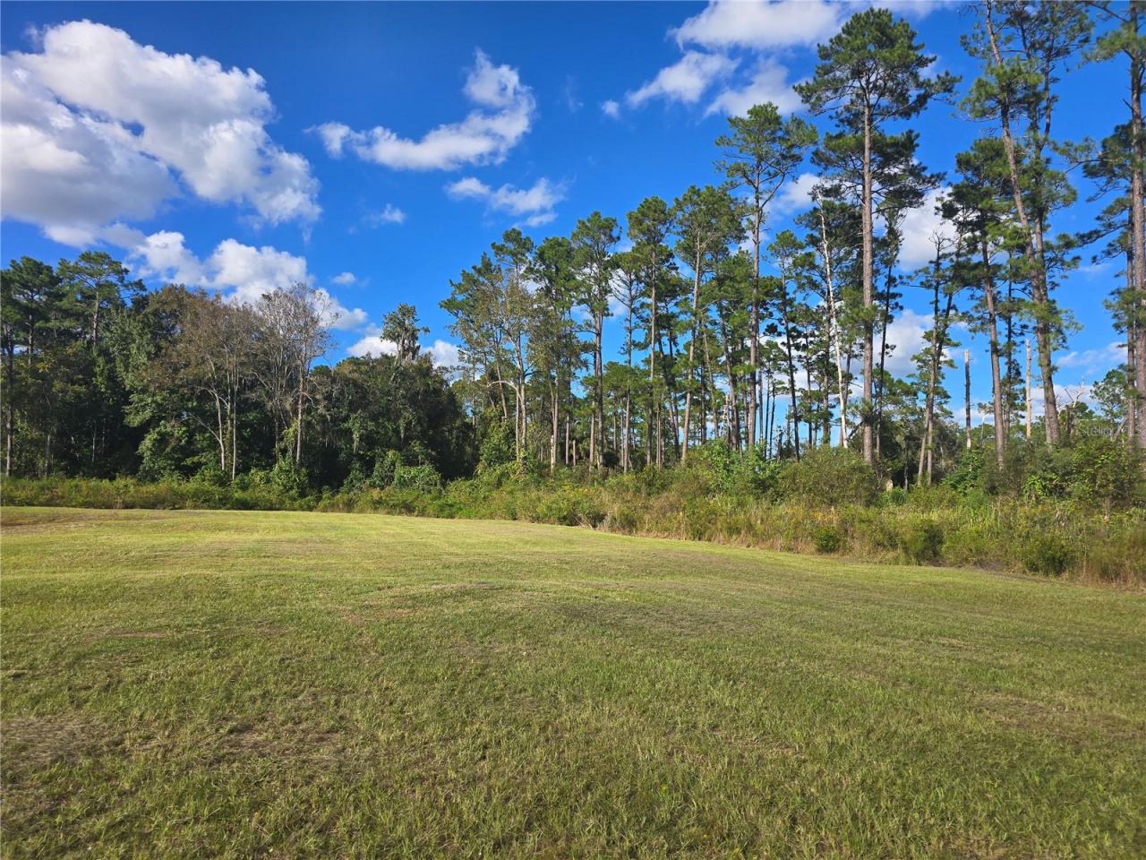 Photo 4 of 160 W Hagstrom Rd, Pierson, FL 32180