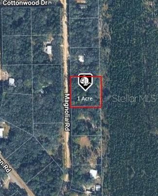 209 Magnolia Rd, Hawthorne, FL 32640