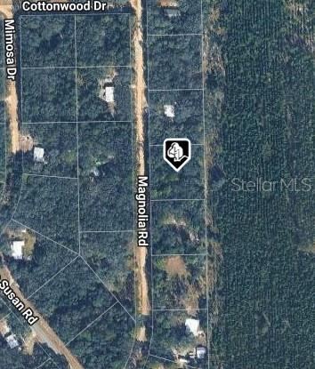 Photo 3 of 209 Magnolia Rd, Hawthorne, FL 32640
