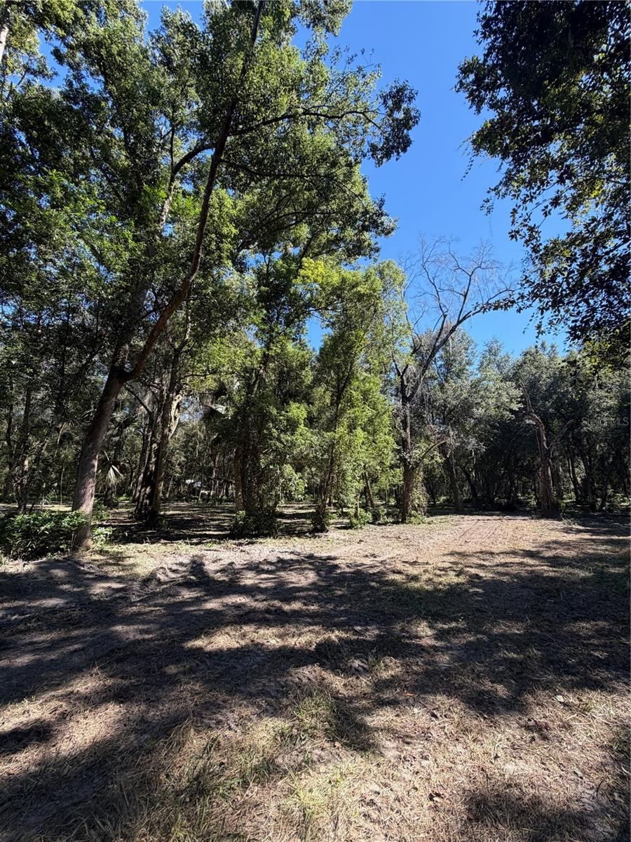 Photo 4 of W Ohio Ave, Lake Helen, FL 32744