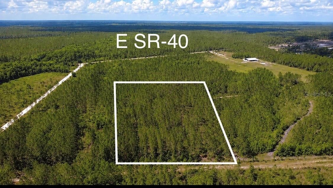 Wild Cur Rd, Pierson, FL 32180
