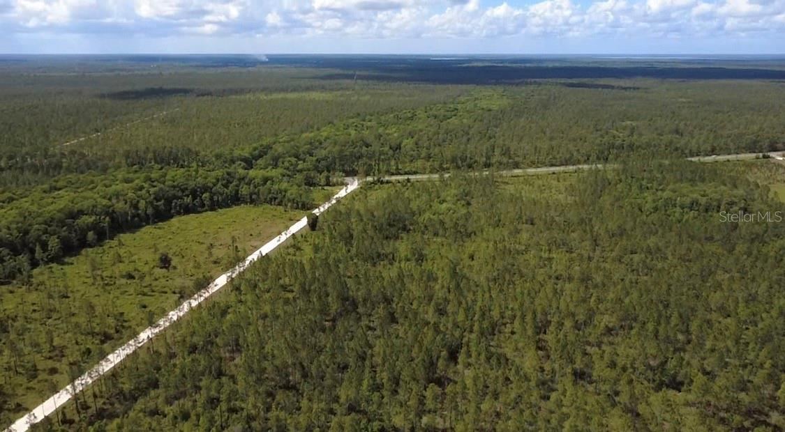 Photo 2 of Wild Cur Rd, Pierson, FL 32180