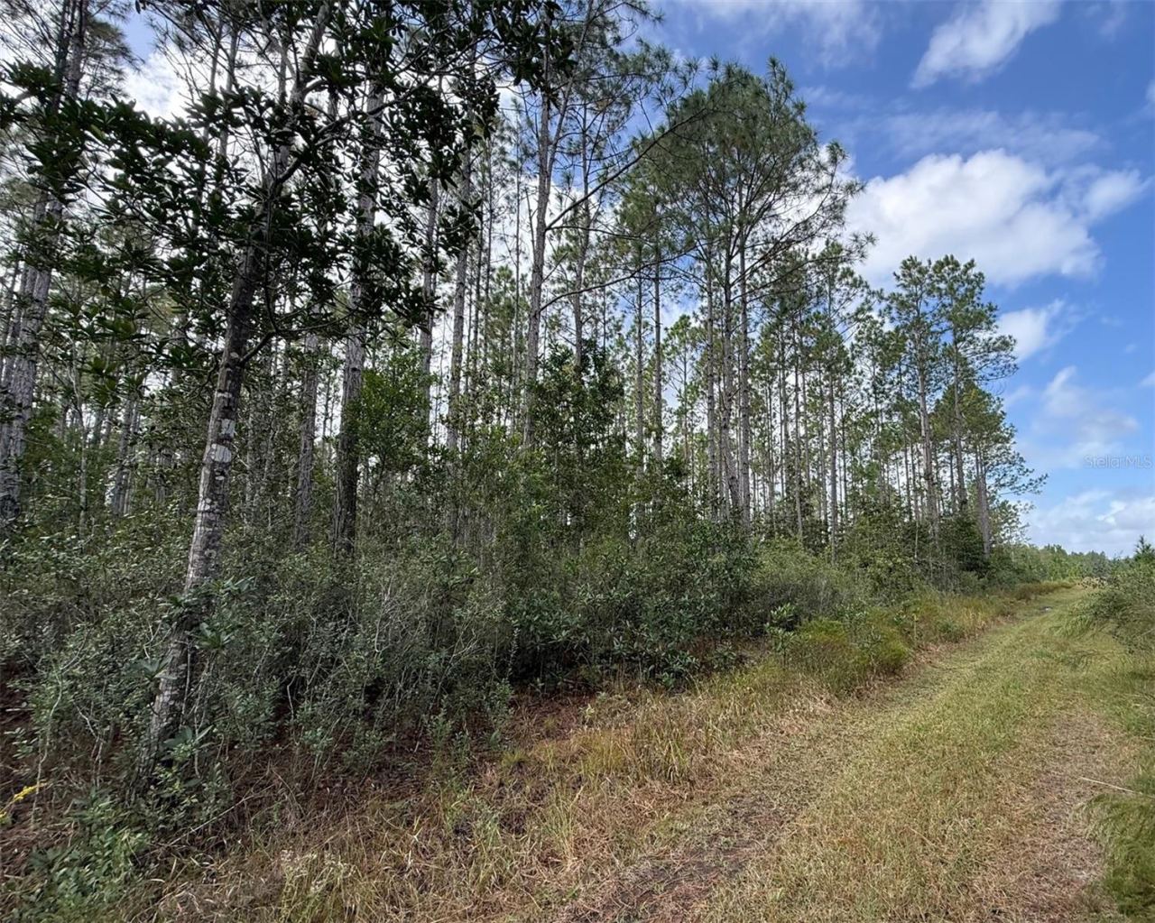 Photo 3 of Wild Cur Rd, Pierson, FL 32180
