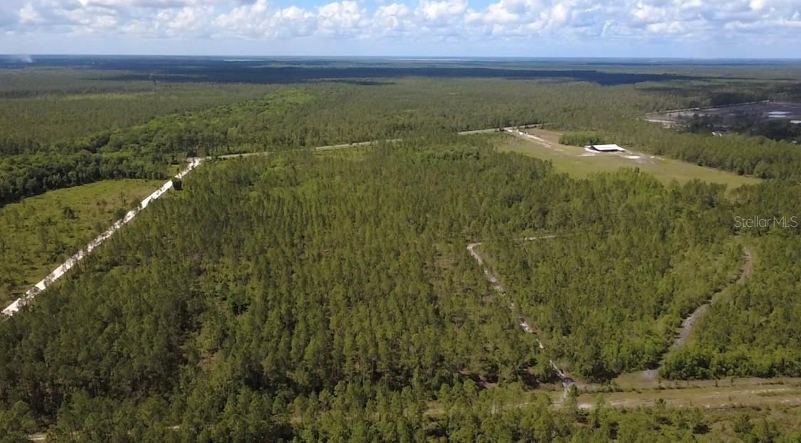 Photo 4 of Wild Cur Rd, Pierson, FL 32180