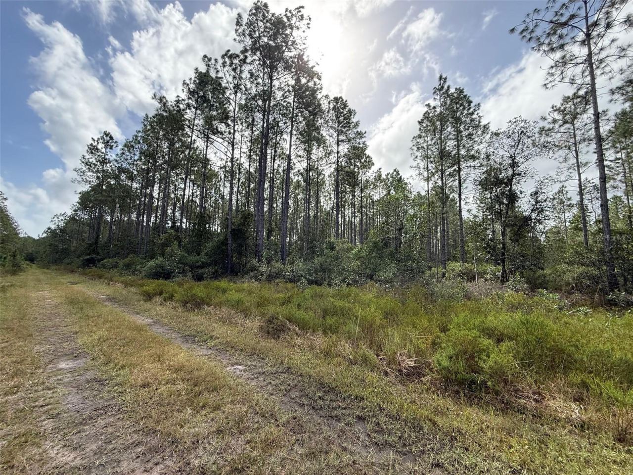 Photo 5 of Wild Cur Rd, Pierson, FL 32180