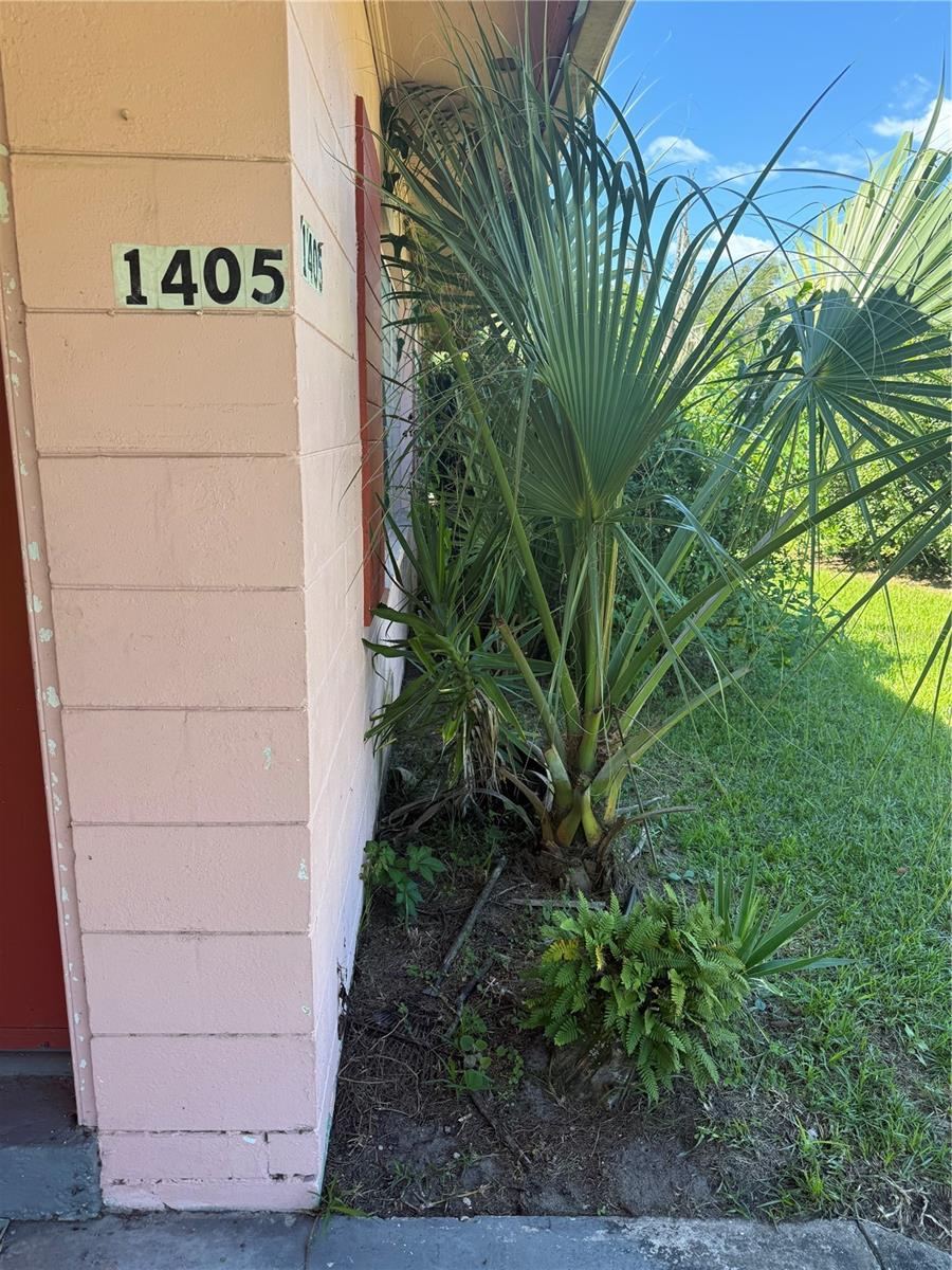 Photo 3 of 1405 Ocean St, Palatka, FL 32177