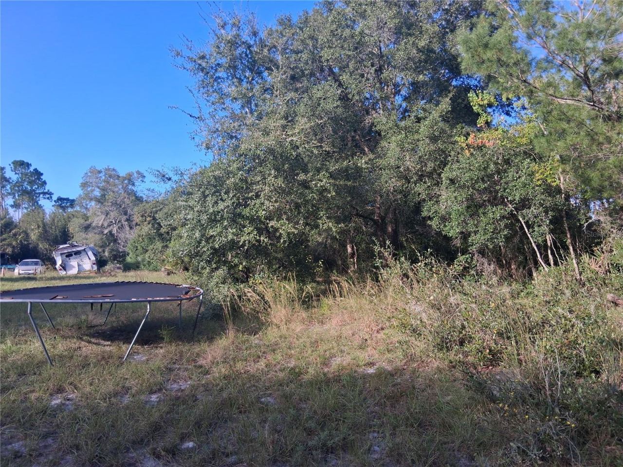 Photo 4 of 1875 Alameda Dr, De Leon Springs, FL 32130