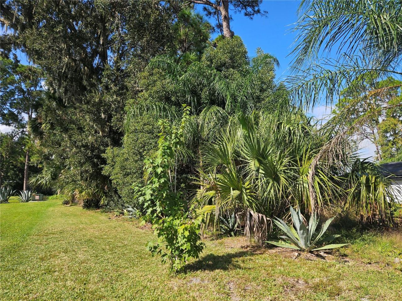 Photo 5 of Pine Tree Dr, Edgewater, FL 32141