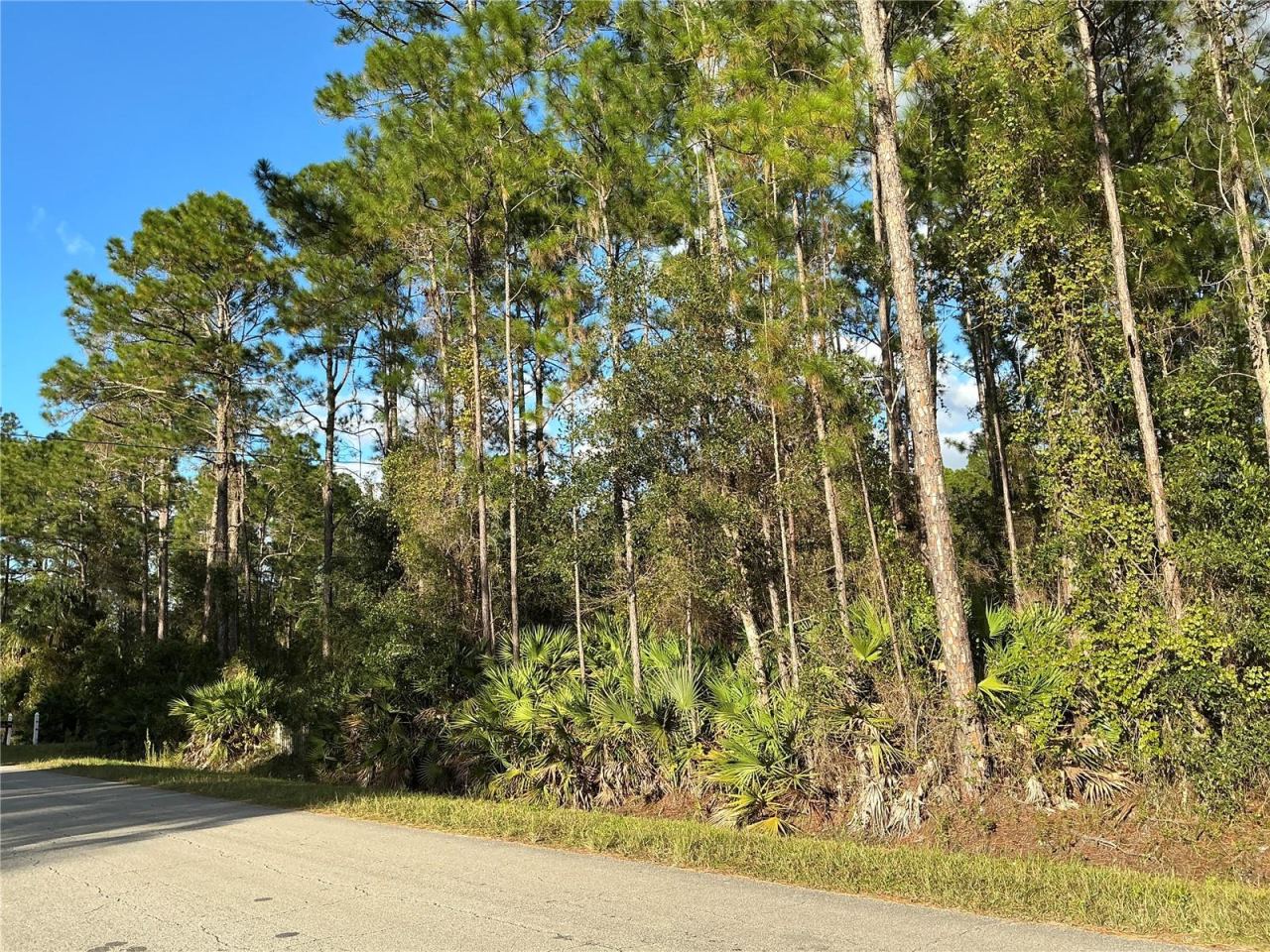 Photo 4 of 1589 Avocado Blvd, Bunnell, FL 32110