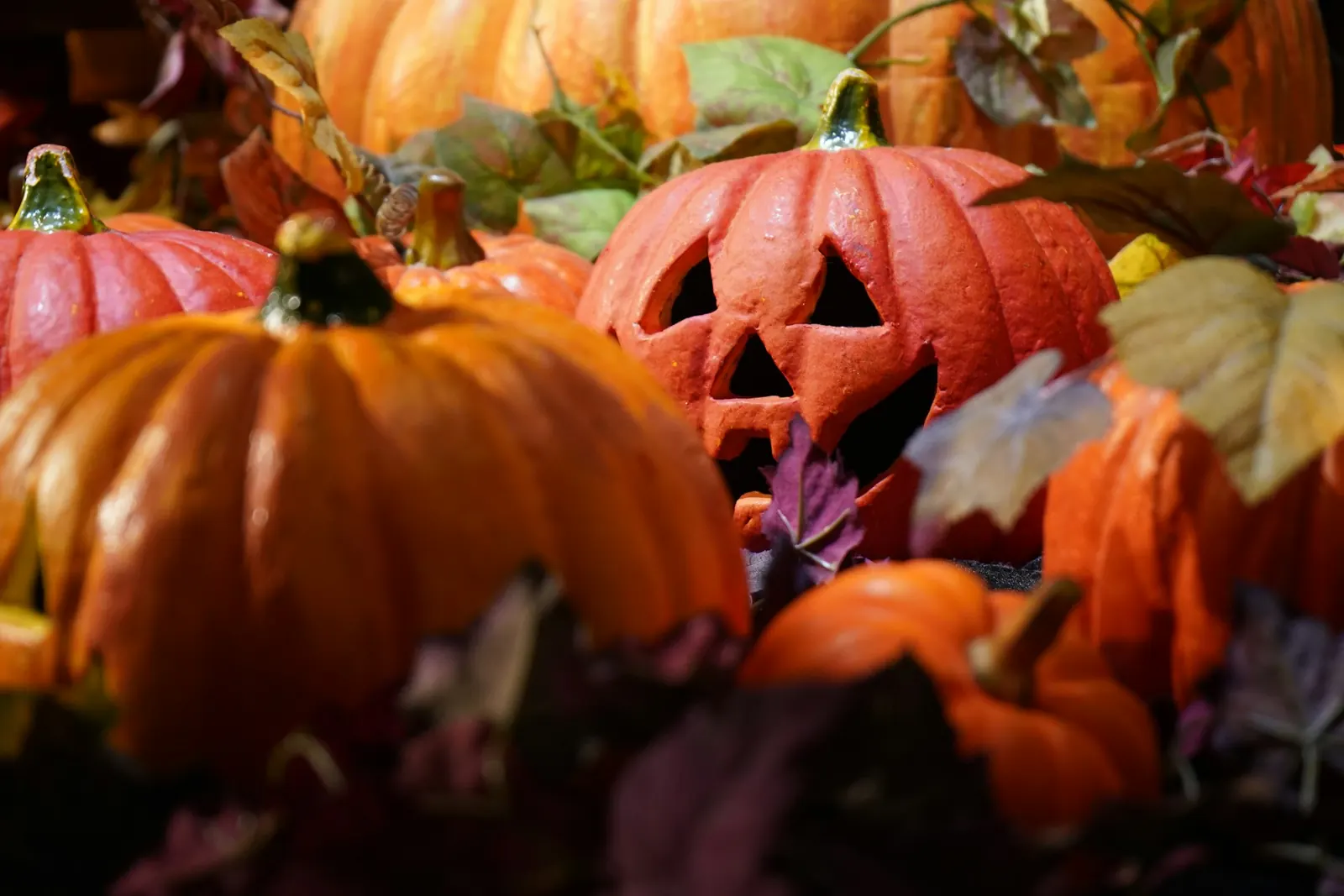 carved pumpkin with fall leaves