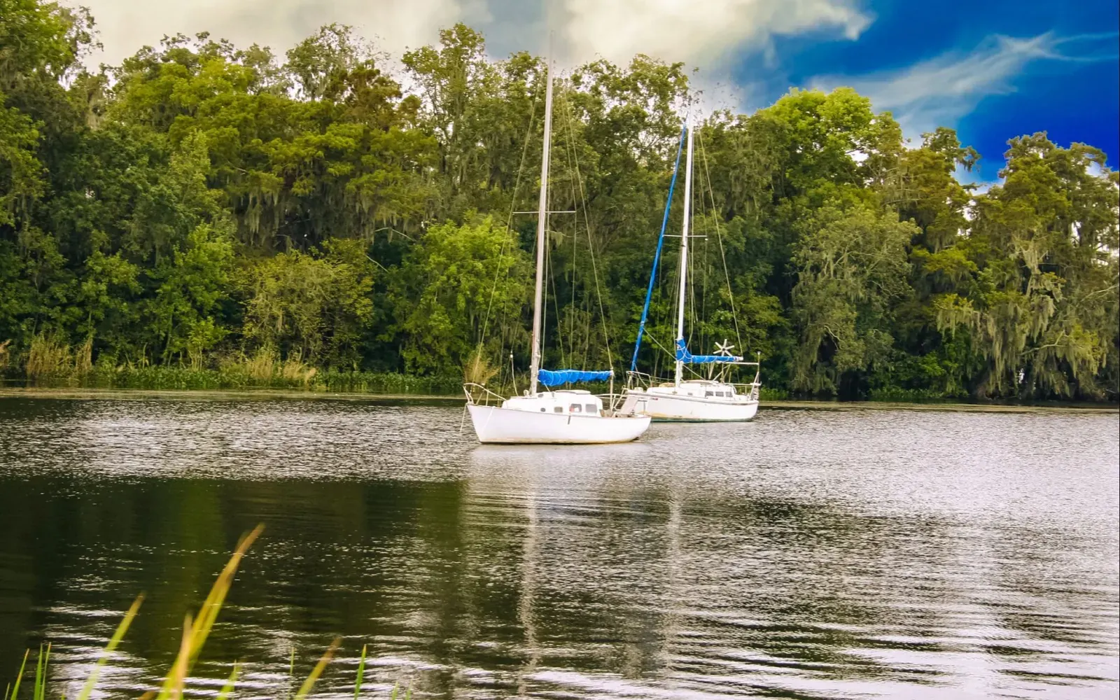 Sailboats on the St. Johns River near Palatka