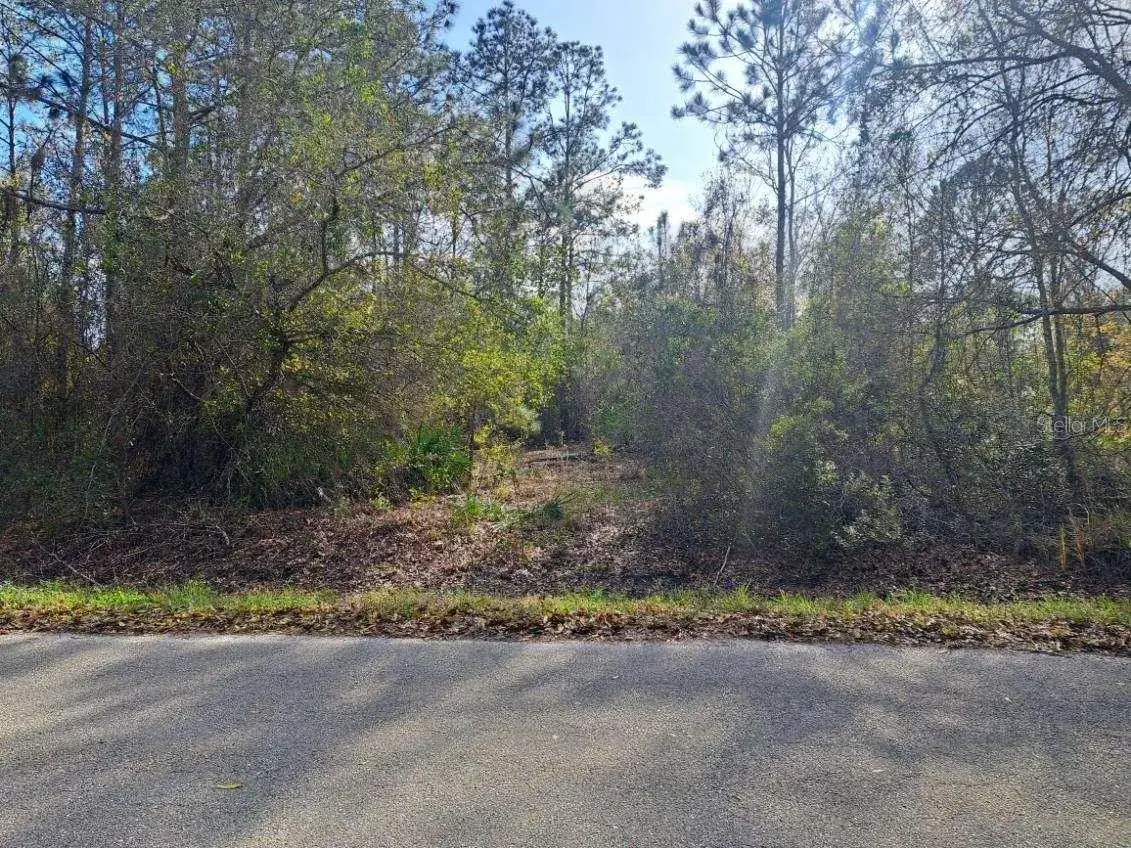 1865 Grey Oak Ln, Lorida, FL