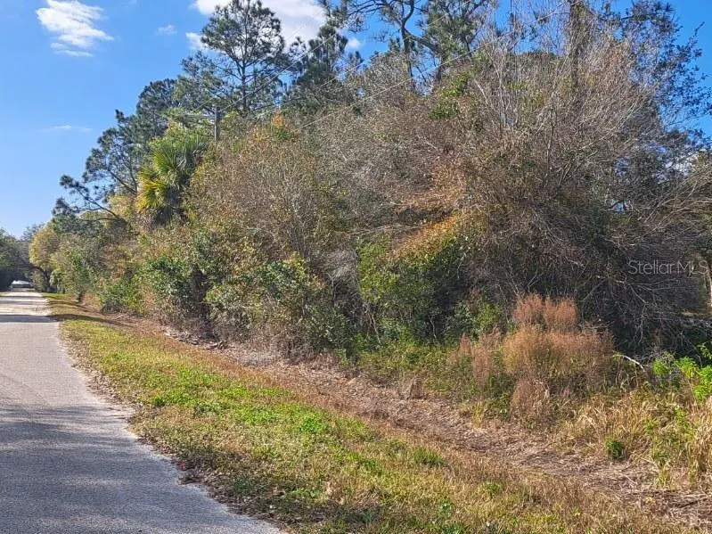 1865 Grey Oak Ln photo 2