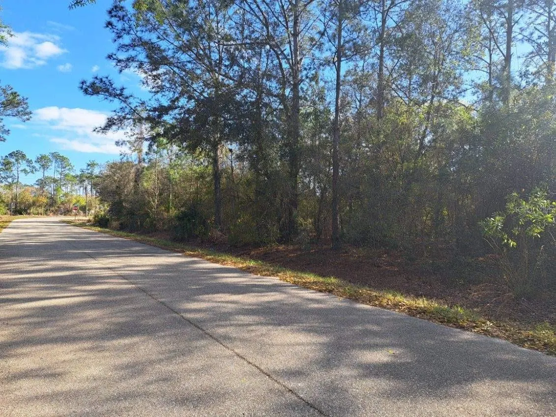 1865 Grey Oak Ln photo 3
