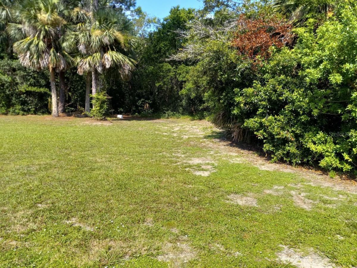 Heineman St, Daytona Beach