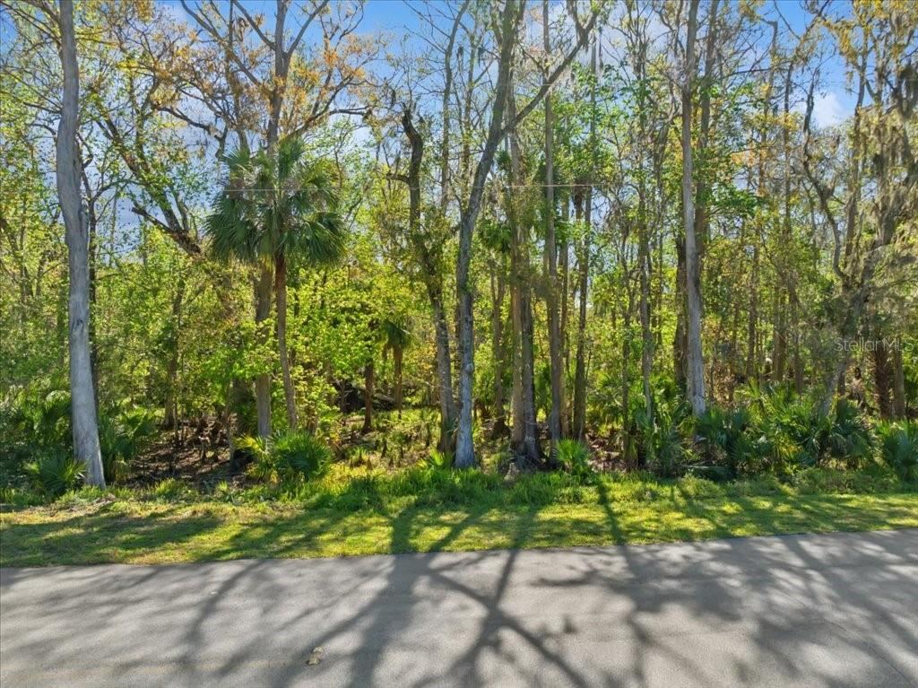 138 Blare Dr, Palm Coast