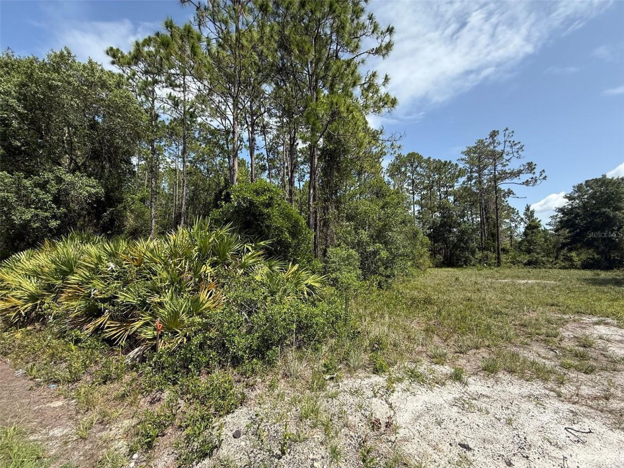 174 Millican Rd, Palatka