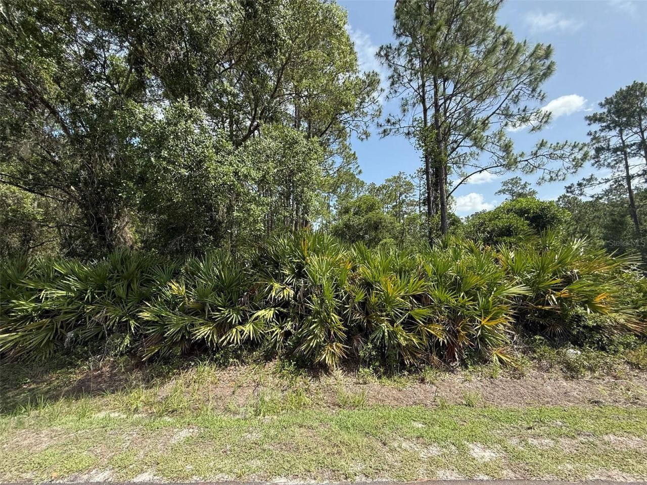 Photo 4 of 174 Millican Rd, Palatka, FL 32177