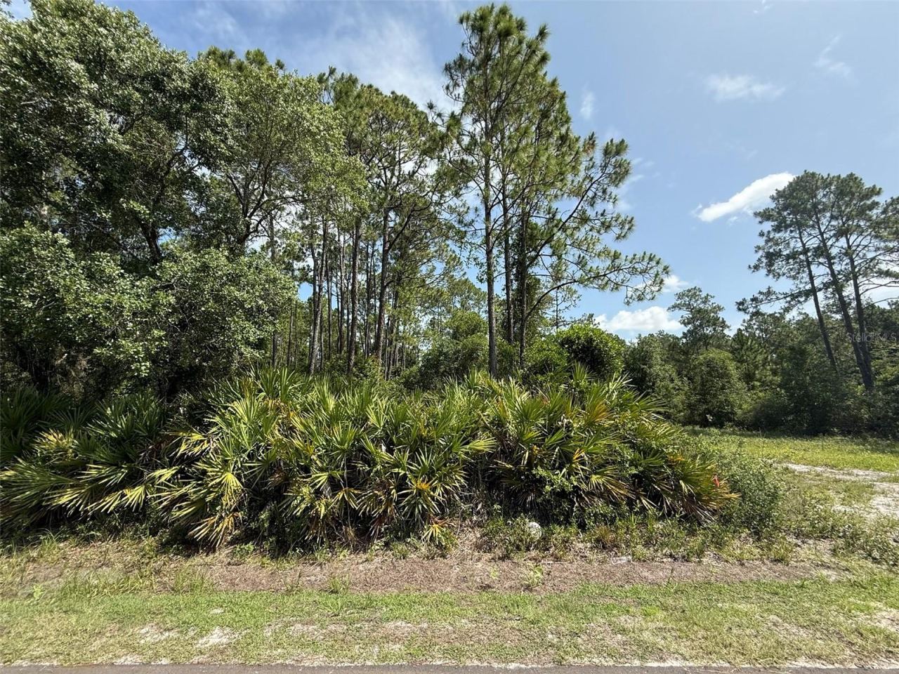 Photo 5 of 174 Millican Rd, Palatka, FL 32177