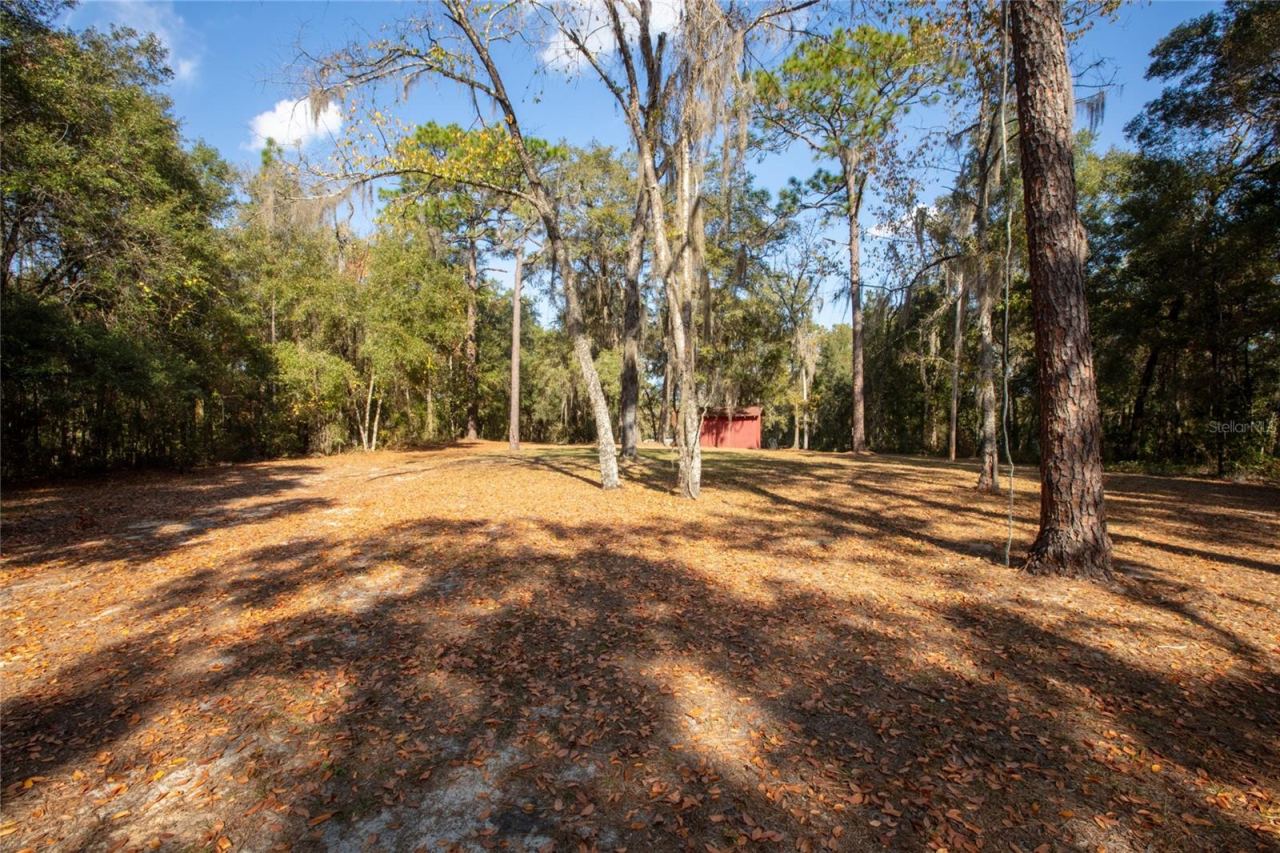 Photo 2 of 730+732 State Road 26, Melrose, FL 32666