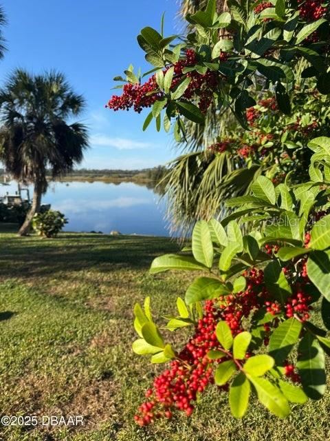 Photo 2 of 3780 John Anderson Dr, Ormond Beach, FL 32176