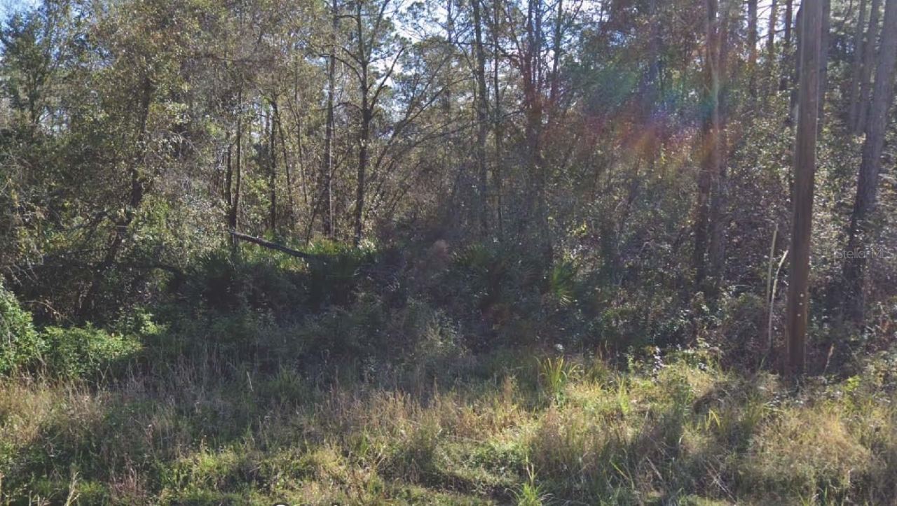 104 Donald R Blvd, Palatka