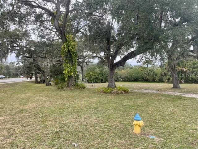 Photo 3 of 104 Ellison Ave, New Smyrna Beach, FL 32168