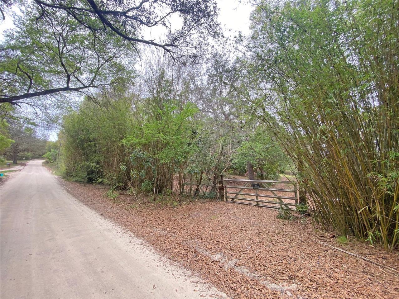 Photo 2 of 119 Twin Lakes Rd, Hawthorne, FL 32640