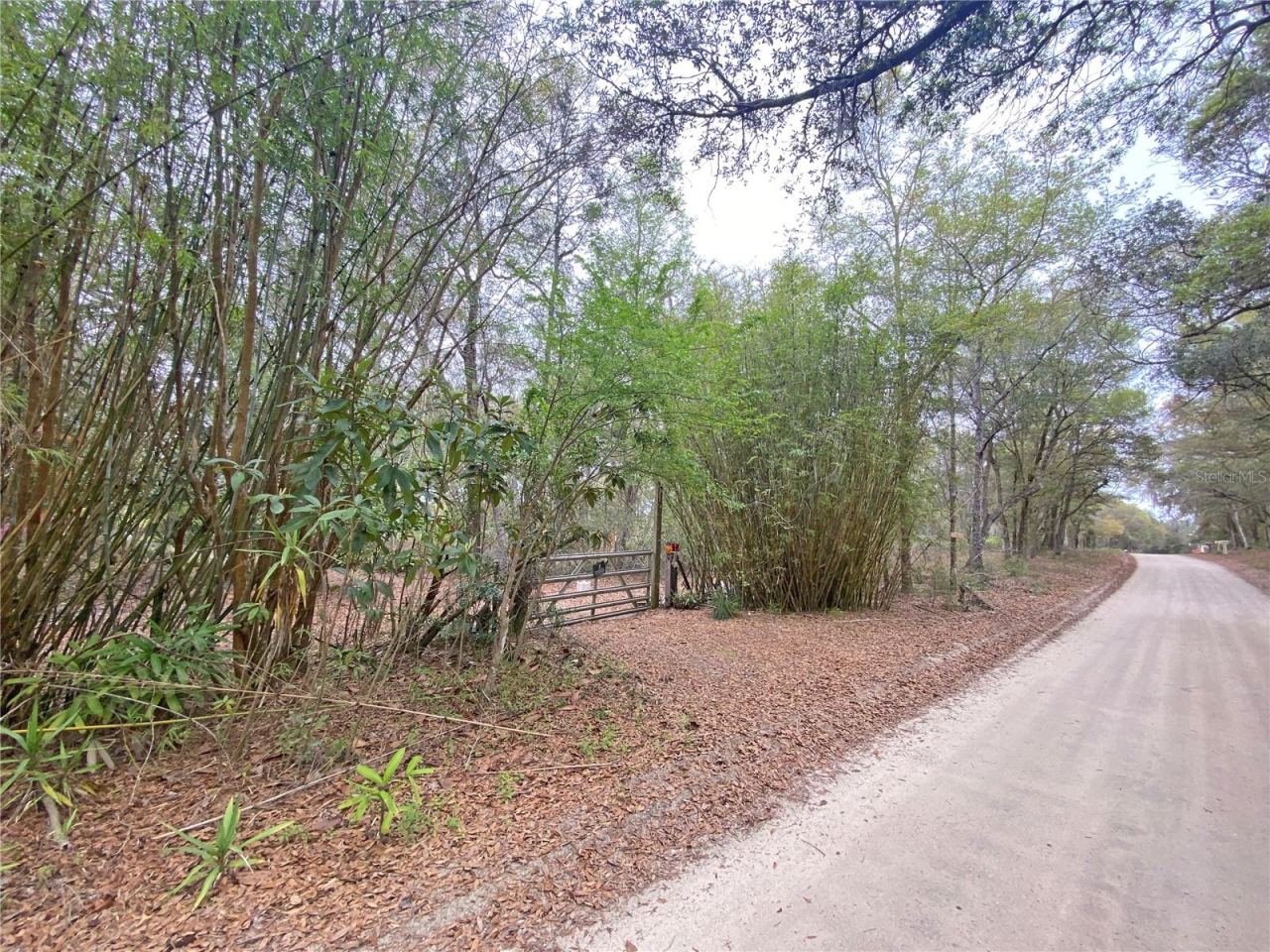 Photo 3 of 119 Twin Lakes Rd, Hawthorne, FL 32640