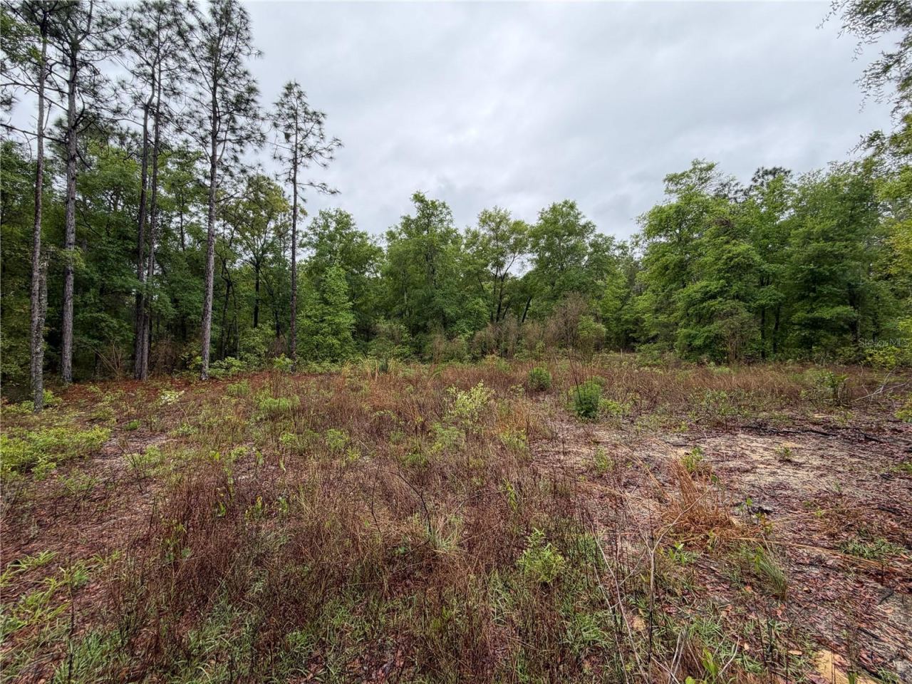 Photo 3 of 301 Rainbow Dr, Hawthorne, FL 32640