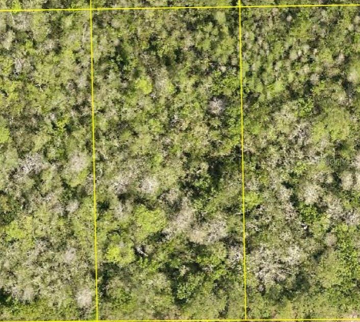 Pid 710801150220 No Street, Deland, FL 32724