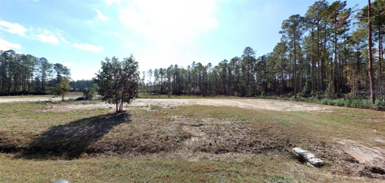 Joyce St, Hastings, FL 32145