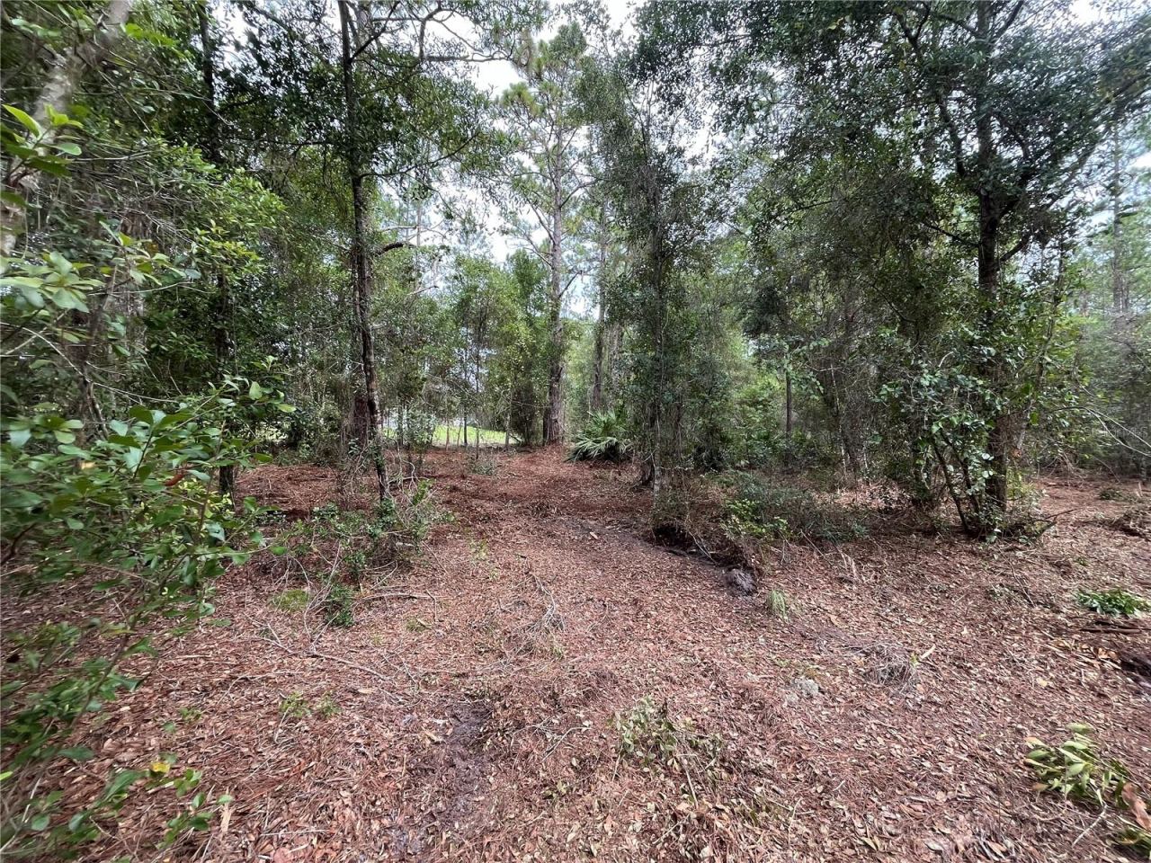 Photo 2 of 122 Glenside St, Georgetown, FL 32139